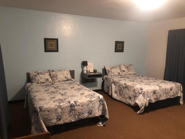 Mayo Cindy'S Motel & Rv Park מראה חיצוני תמונה